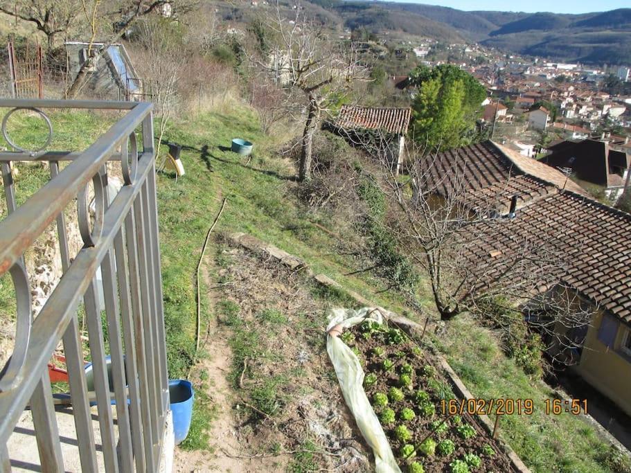 Maison De Vigne Renovee Saint-Affrique Buitenkant foto